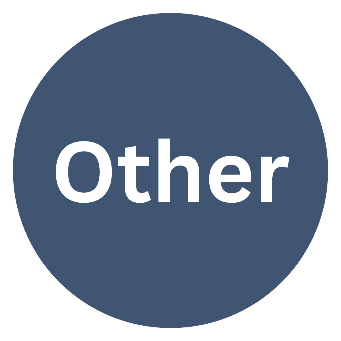 Other Amount